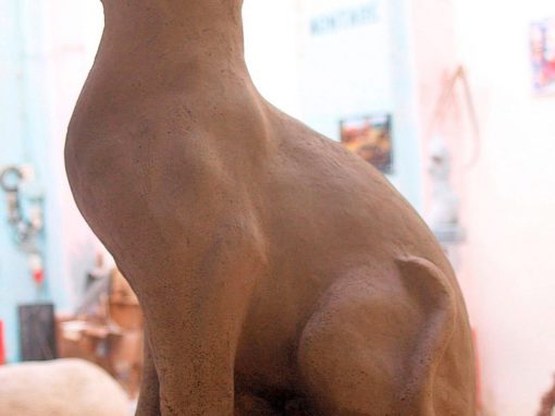Katze