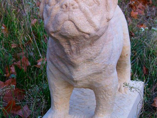Mops